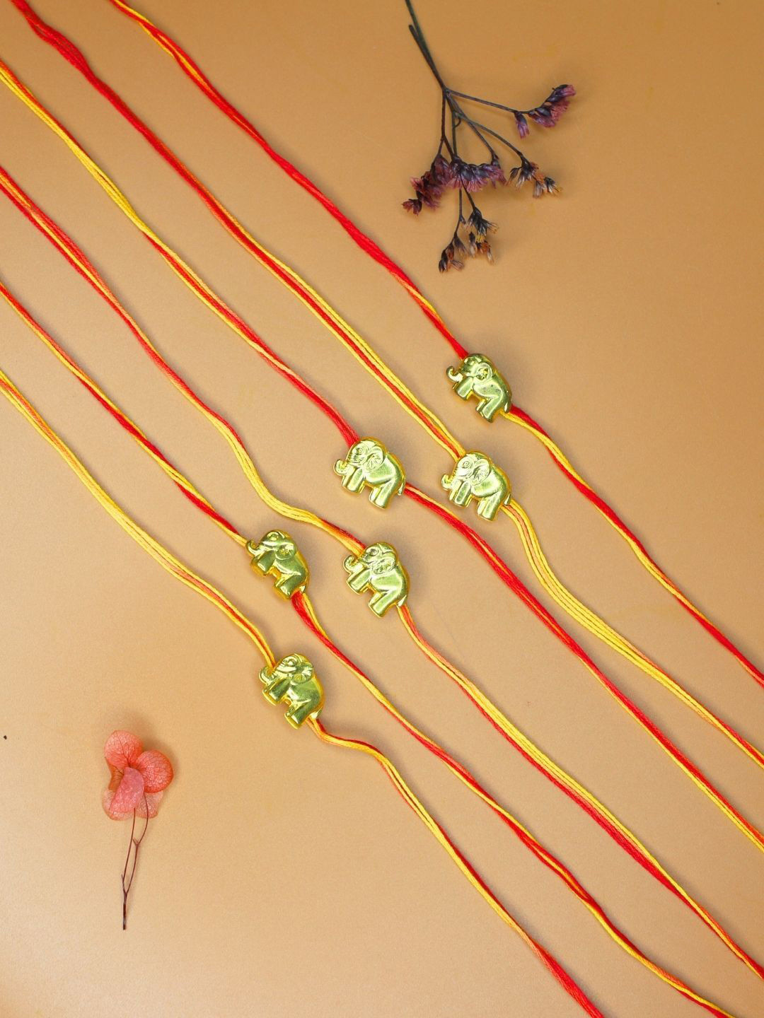 Anouk Set Of 24 Elephant Rakhi With Roli Kumkum & Funny Card