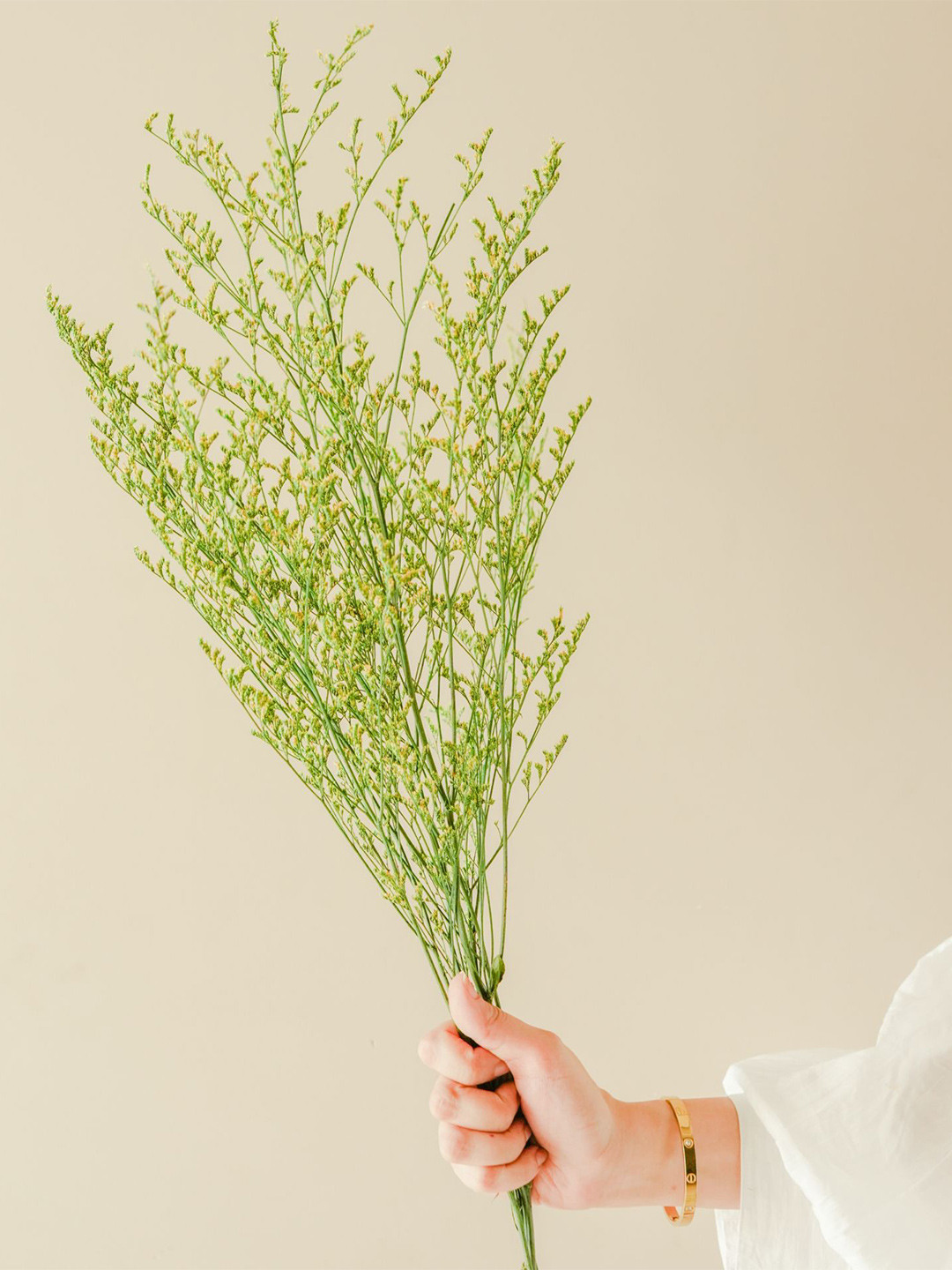 ArteCasa Green & Yellow Limonium Dried flower