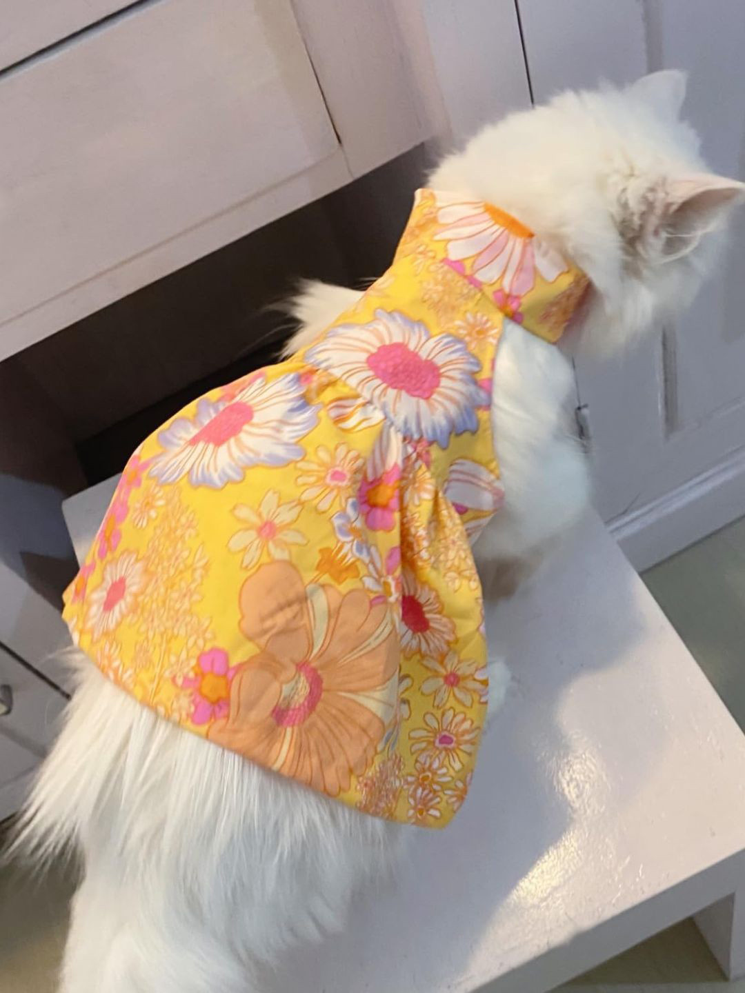 Lulala Floral Printed Skin Friendly Dogs & Cats Frock Dress