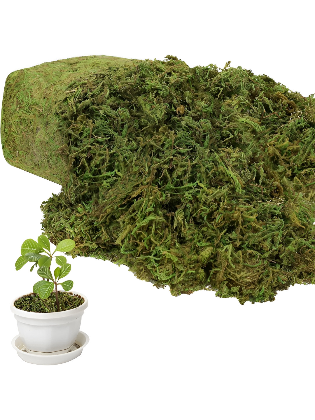 Art Street Green 1 Pieces Grass Artificial Plant