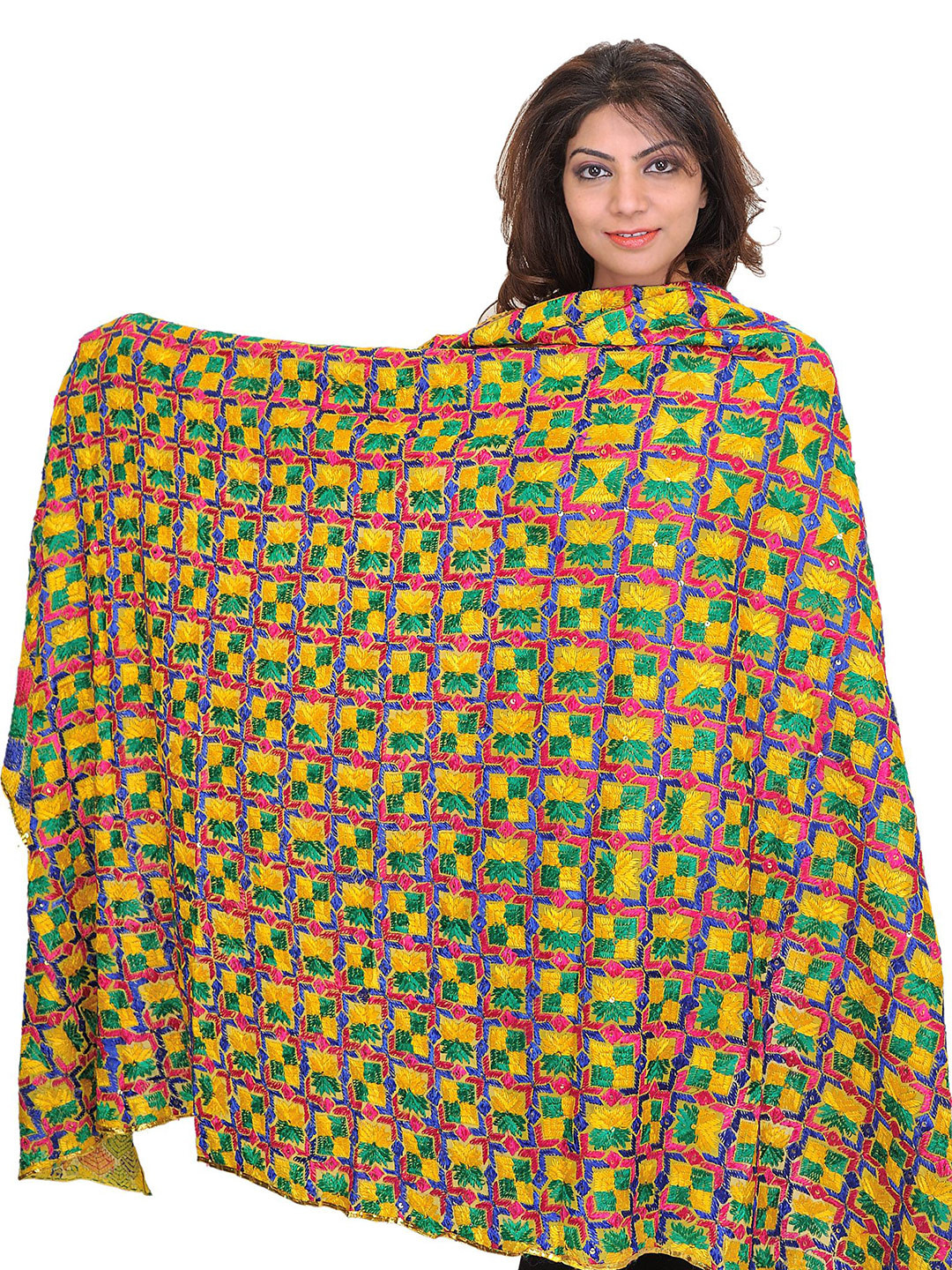 Exotic India Bamboo Phulkari Embroidered Georgette Dupatta From Punjab With Sequins