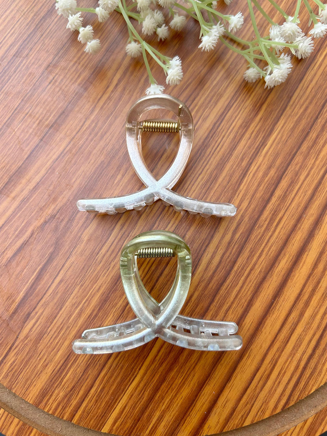 Radhya Accessories Women Set of 2 Modern Transparent Loop Hair Claw Clip