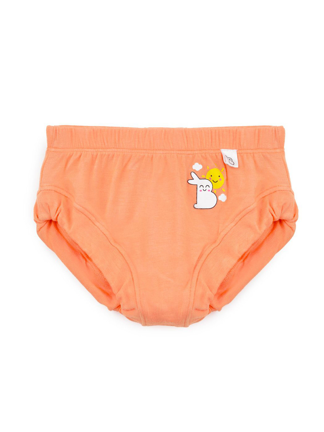 SuperBottoms Kids Printed Supersoft Anti-Bacterial Basic Brief Und-BY-BR-NS-6-9M-1P_N