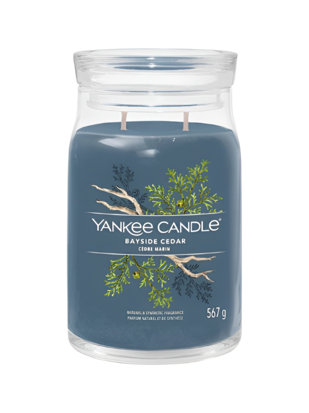 YANKEE CANDLE Bayside Cedar Votive Scented 2 Wick Solid Geometric Regular Jar Candles