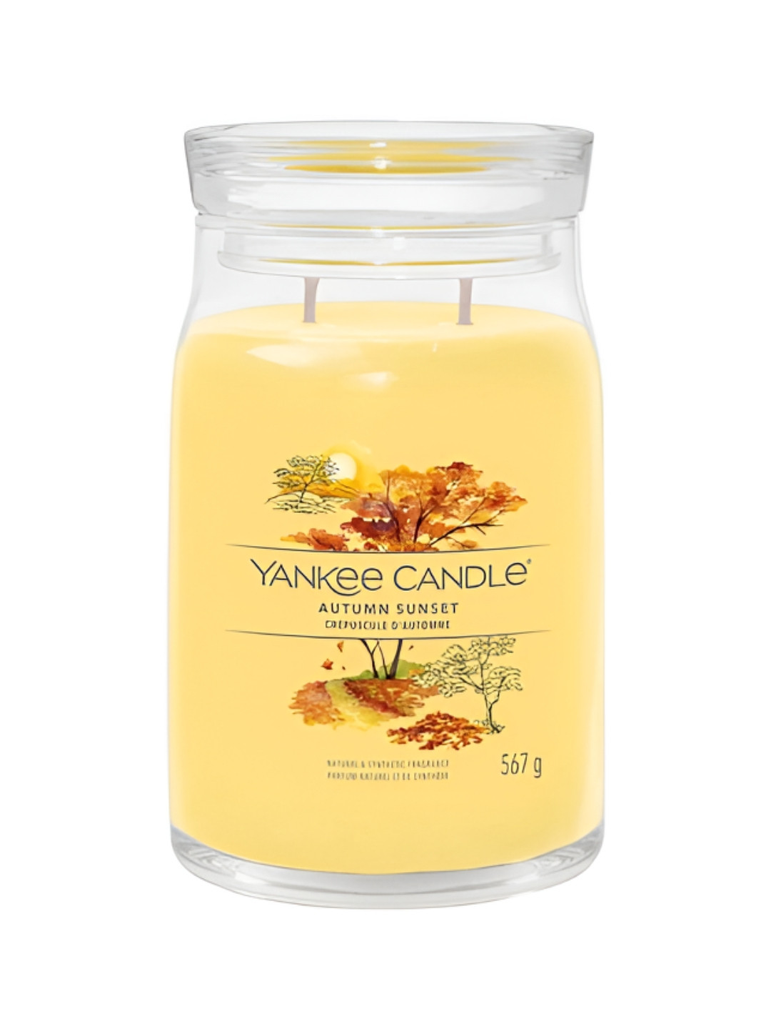 YANKEE CANDLE Autumn Sunset Scented 2 Wick Solid Geometric Regular Jar Candles