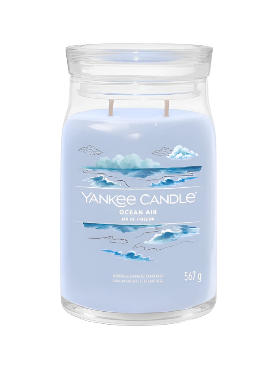 YANKEE CANDLE Ocean Air Scented 2 Wick Solid Geometric Regular Jar Candles