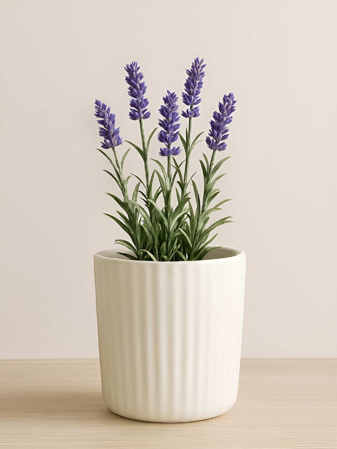 GLOBALLY INDIAN Ribbed Charm Ceramic Planter