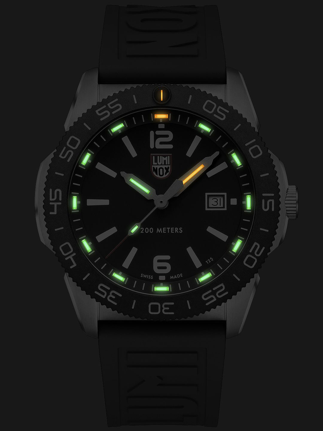 Luminox Men Dial & Straps Analogue Watch XS.3121.1