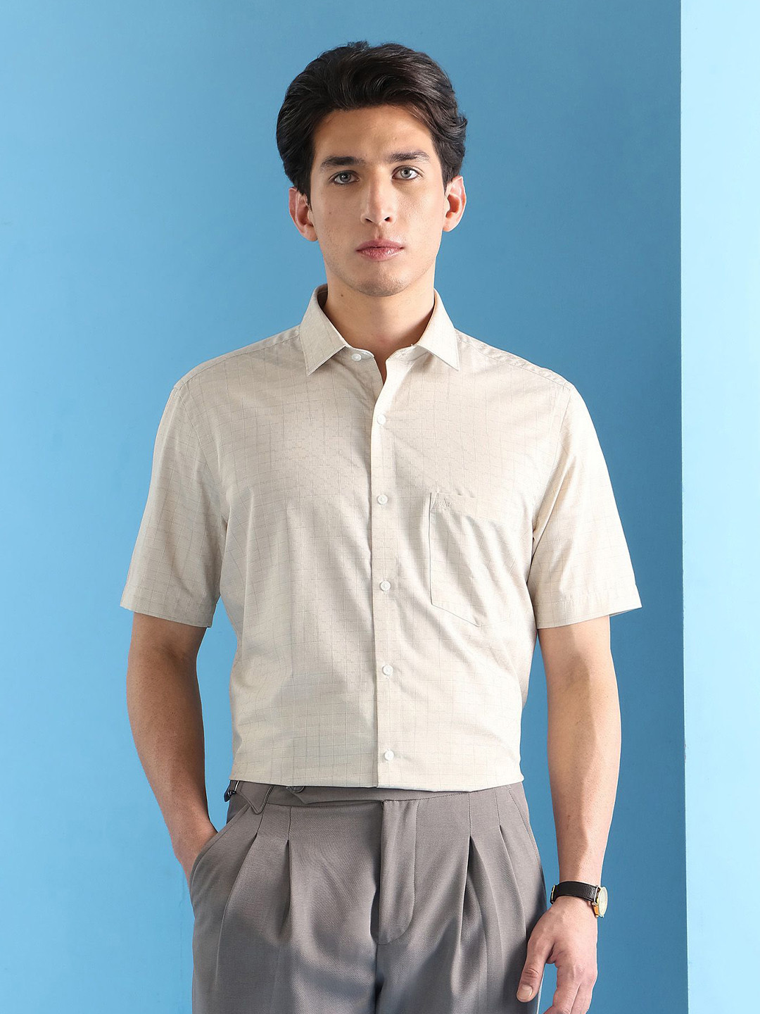 Arrow Velocity Classic Fit Checked Formal Shirt