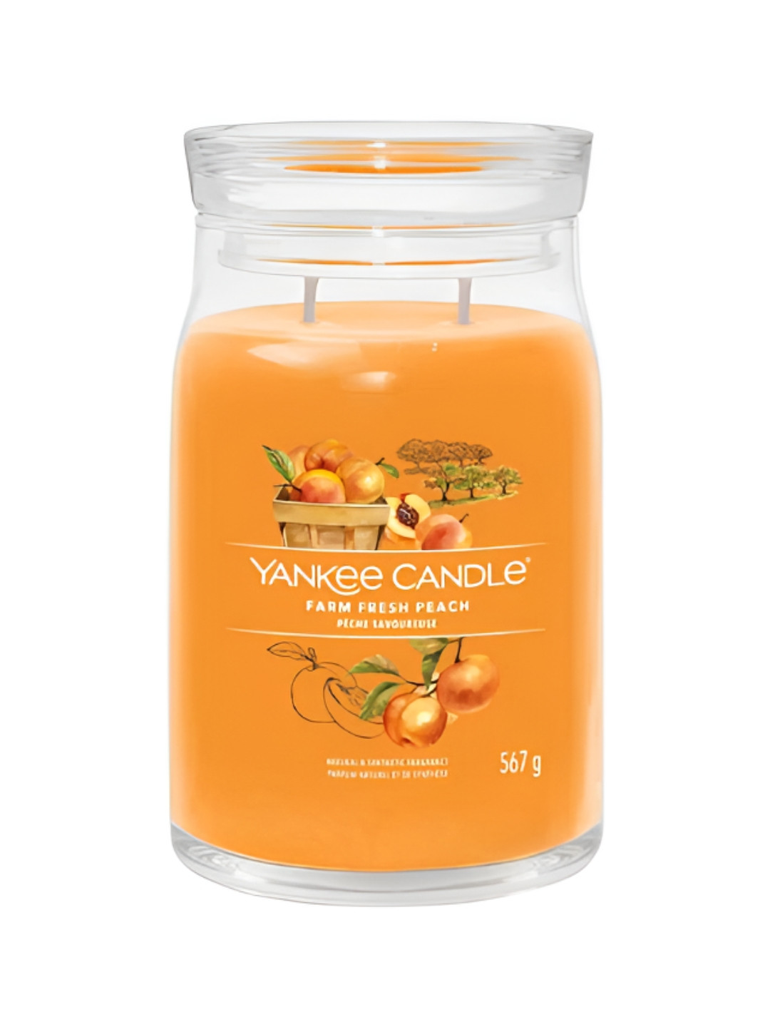 YANKEE CANDLE Fresh Scented 2 Wick Farm Fresh Peach Solid Geometric Regular Jar Candles