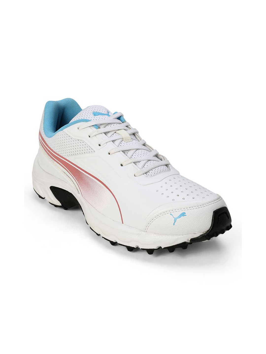 Puma Cricket Power 2.0 Men Cricket Shoes
