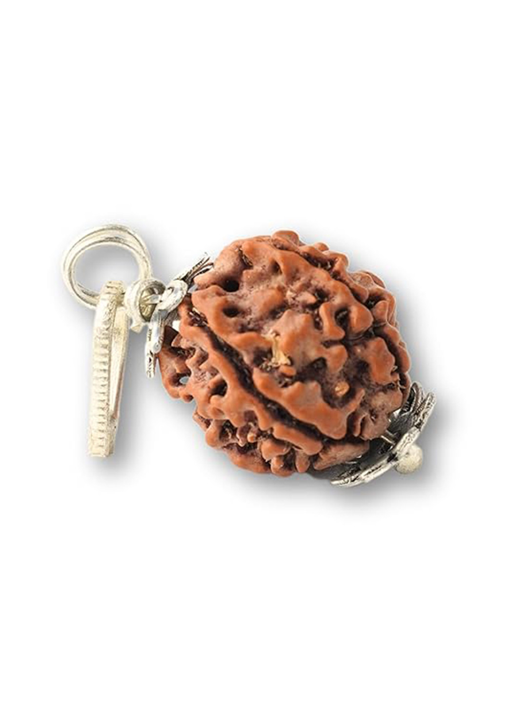 SANKALAN CREATIONS Panchmukhi Rudraksha Pendant with Cap Brown Stone Natural Living Room Small Showpiece -