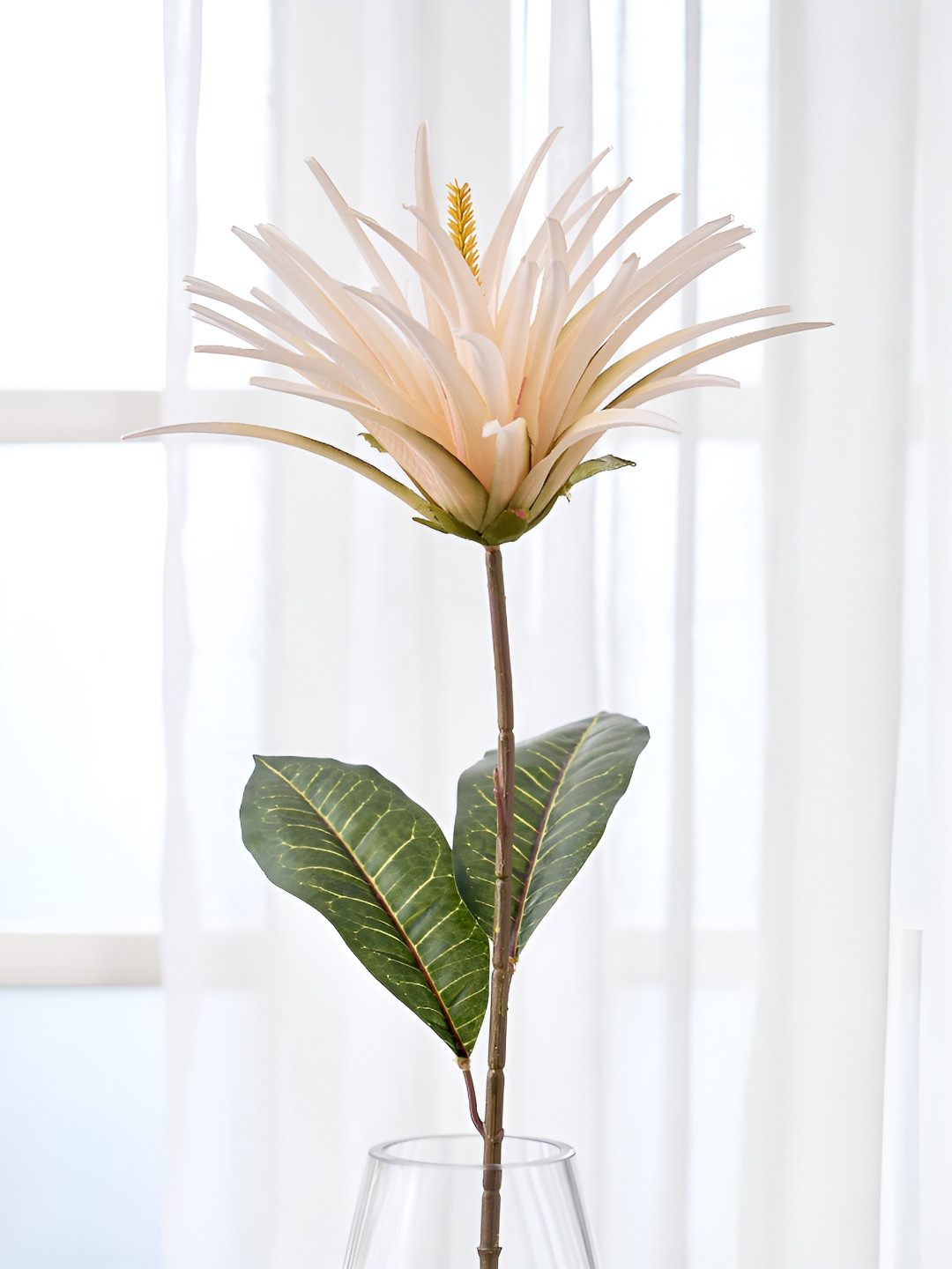 Home Centre Festoon Off White Poinciana Artificial Flower