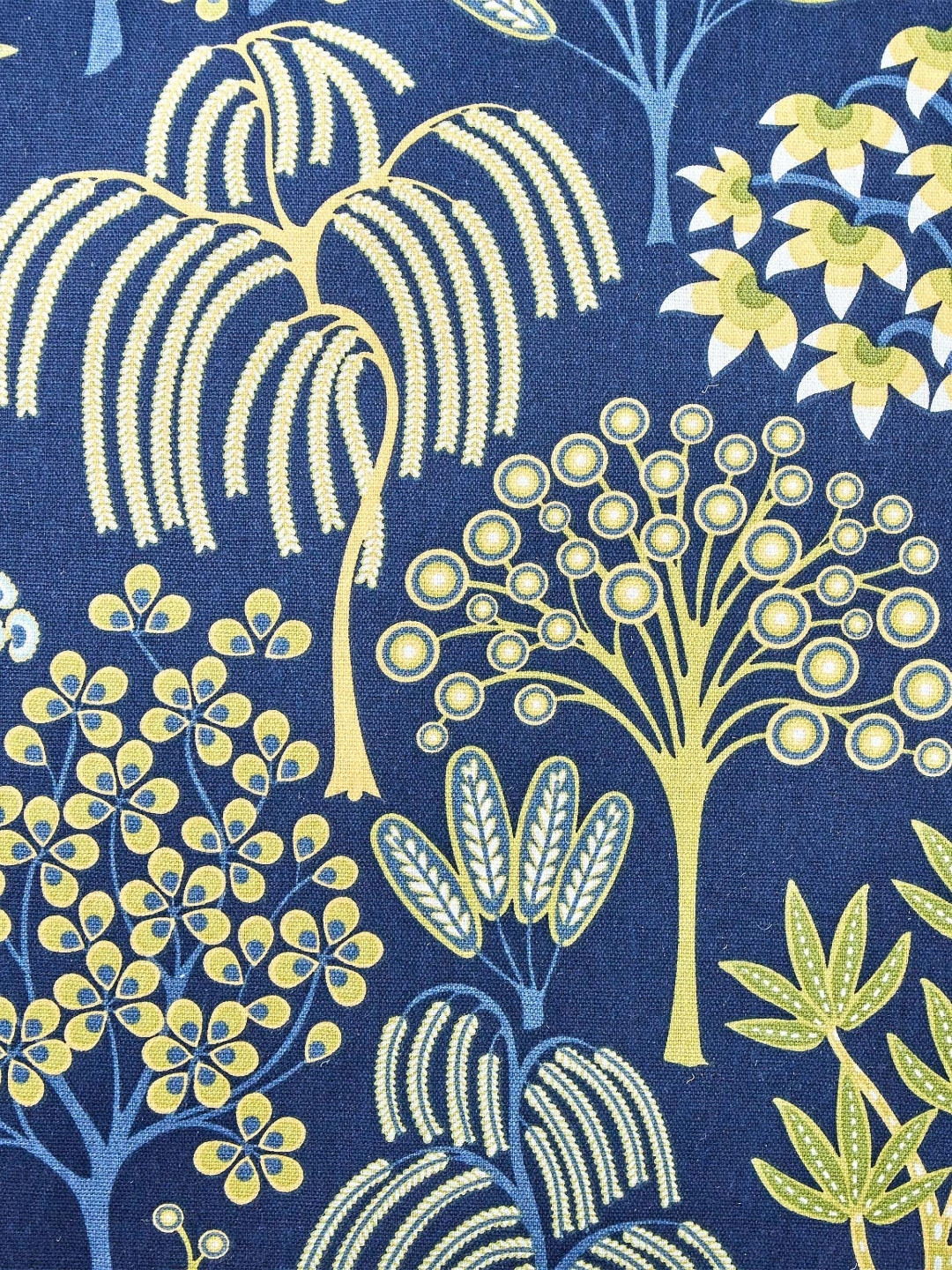 Home Centre Ebony Grace Bellona Blue & Yellow 2 Pieces Cotton Printed Filled Cushion