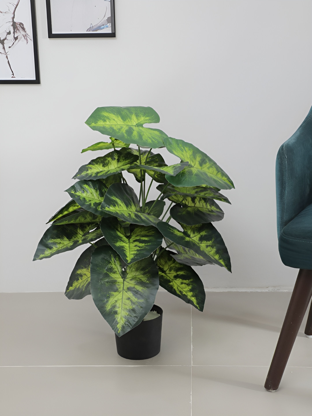 Home Bloom Green & Black Artificial Dieffenbachia Plant With Pot
