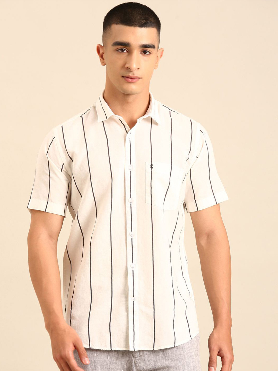 CAVALLO by Linen Club Whites Contemporary Pinstripes Striped Spread Collar Slim Fit Shirt