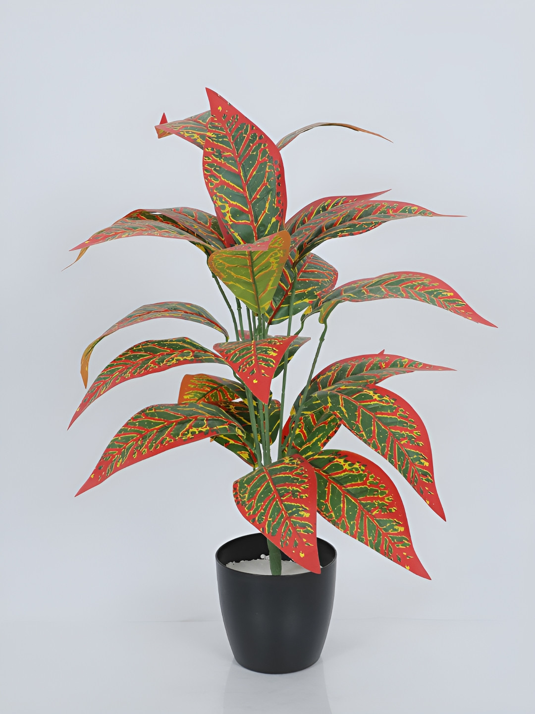 Home Bloom Red & Black Artificial Croton Plant With Pot