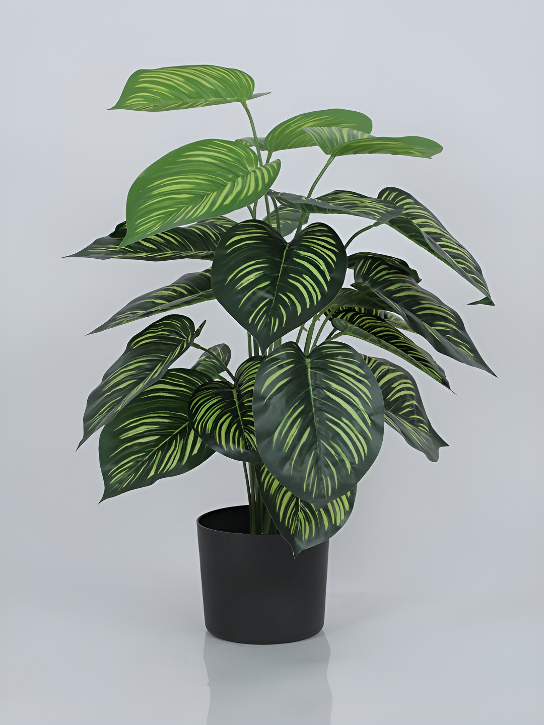 Home Bloom Green & Black Artificial Tarbooj Plant With Pot