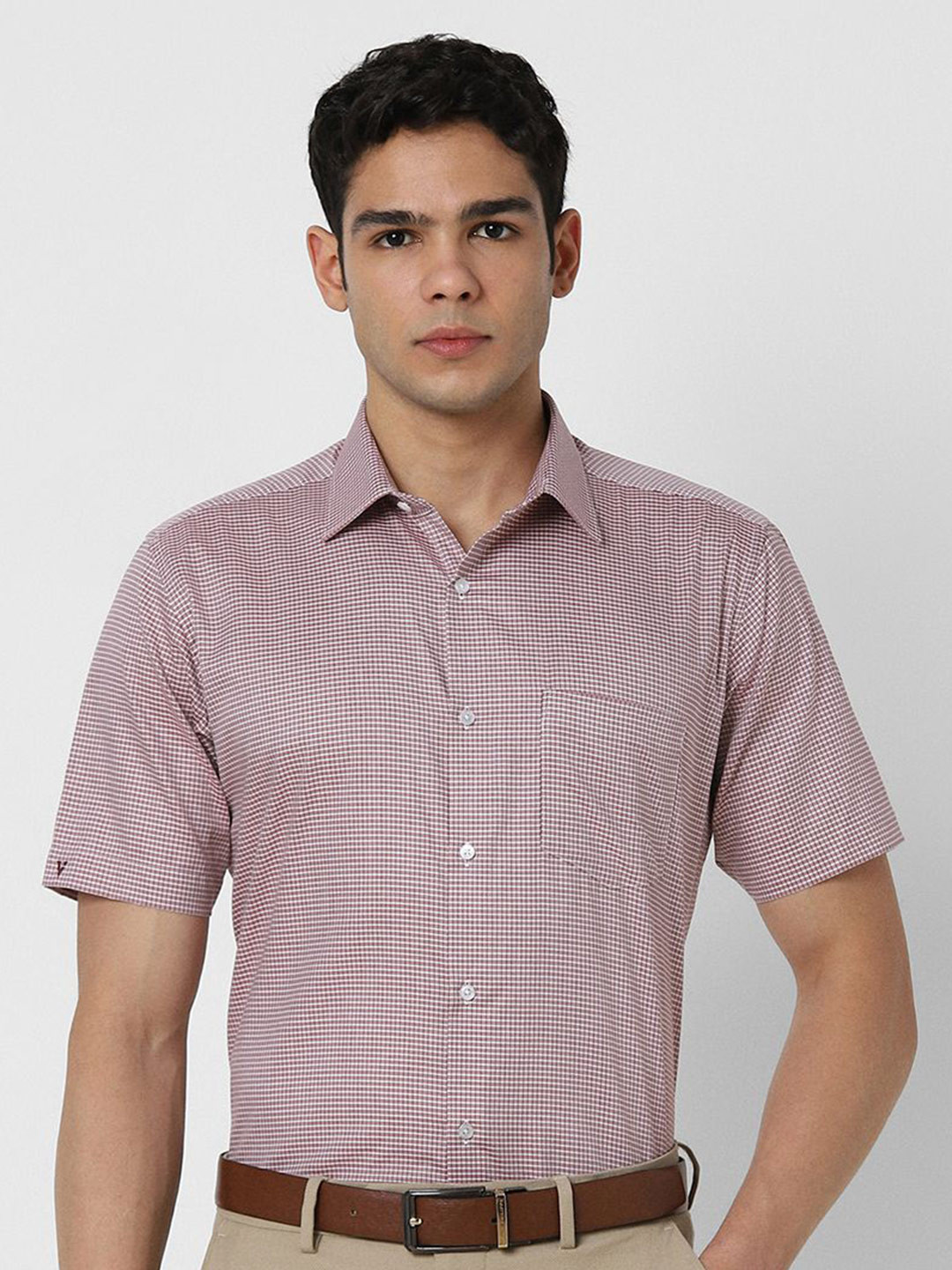 Van Heusen Men Regular Fit Spread Collar Micro Checked Cotton Formal Shirt