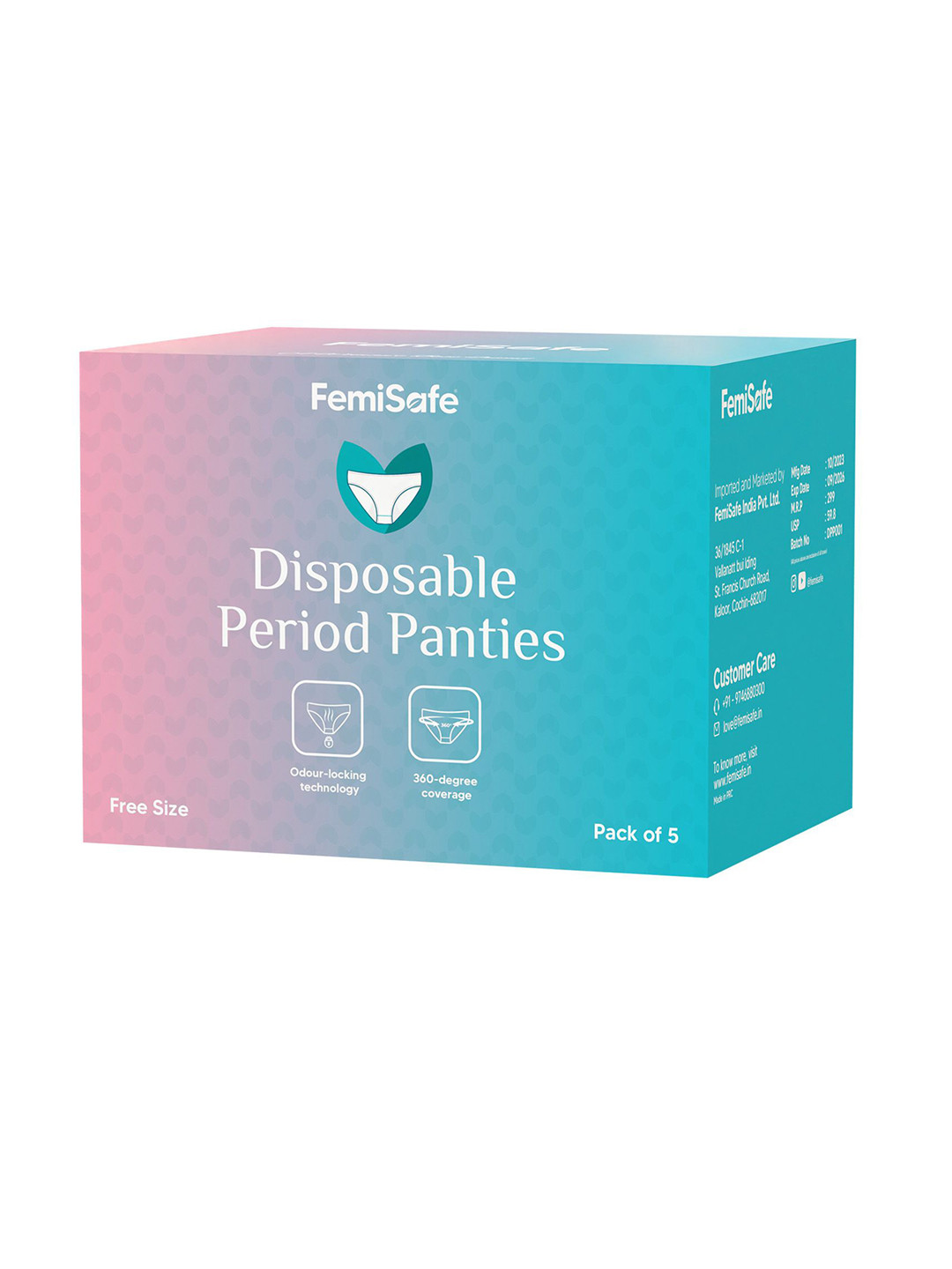 FEMISAFE Disposable Leakproof Period Panties - L-XL - 5 Pcs