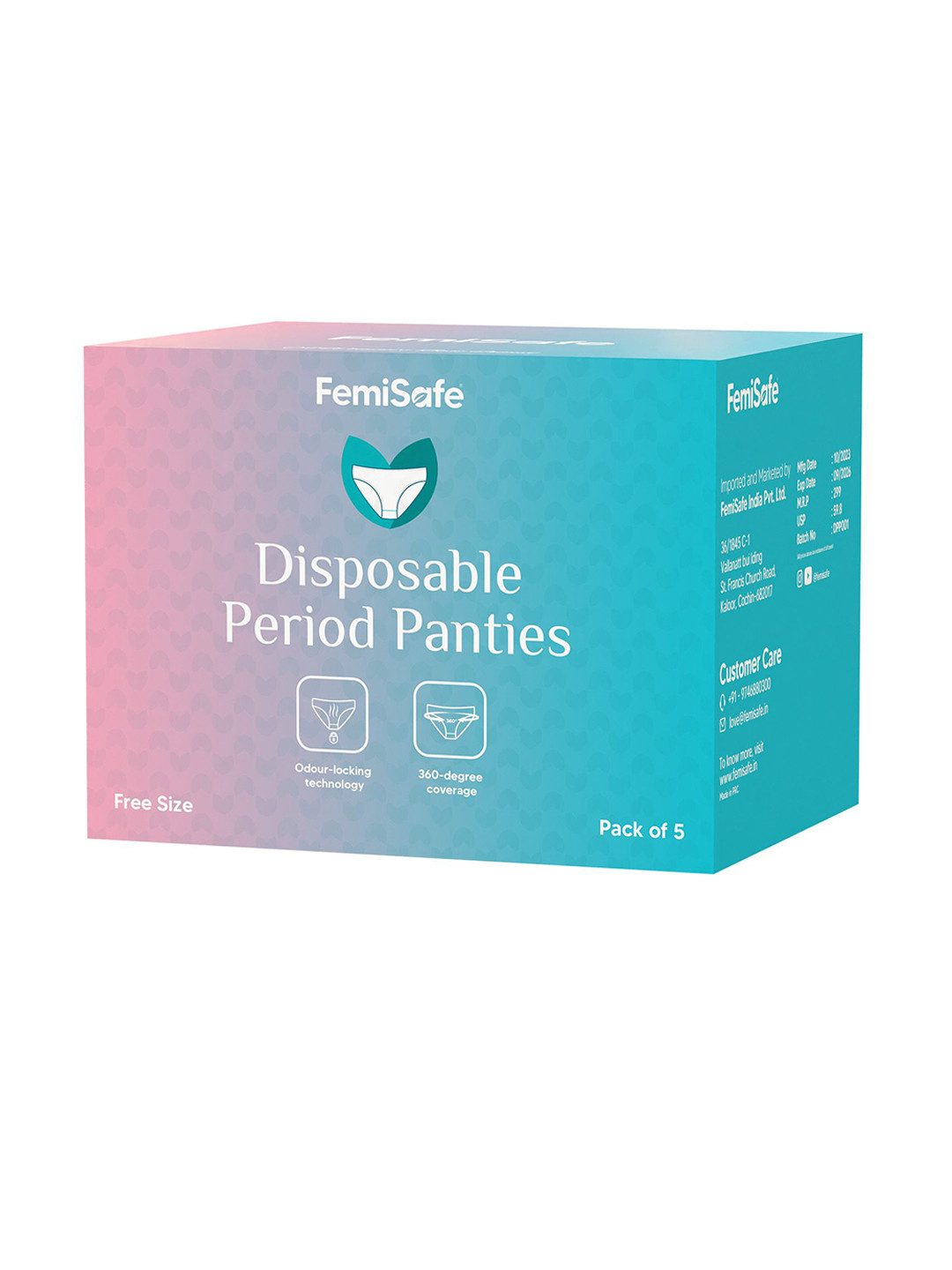 FEMISAFE Disposable Leakproof Period Panties - 5 Pcs