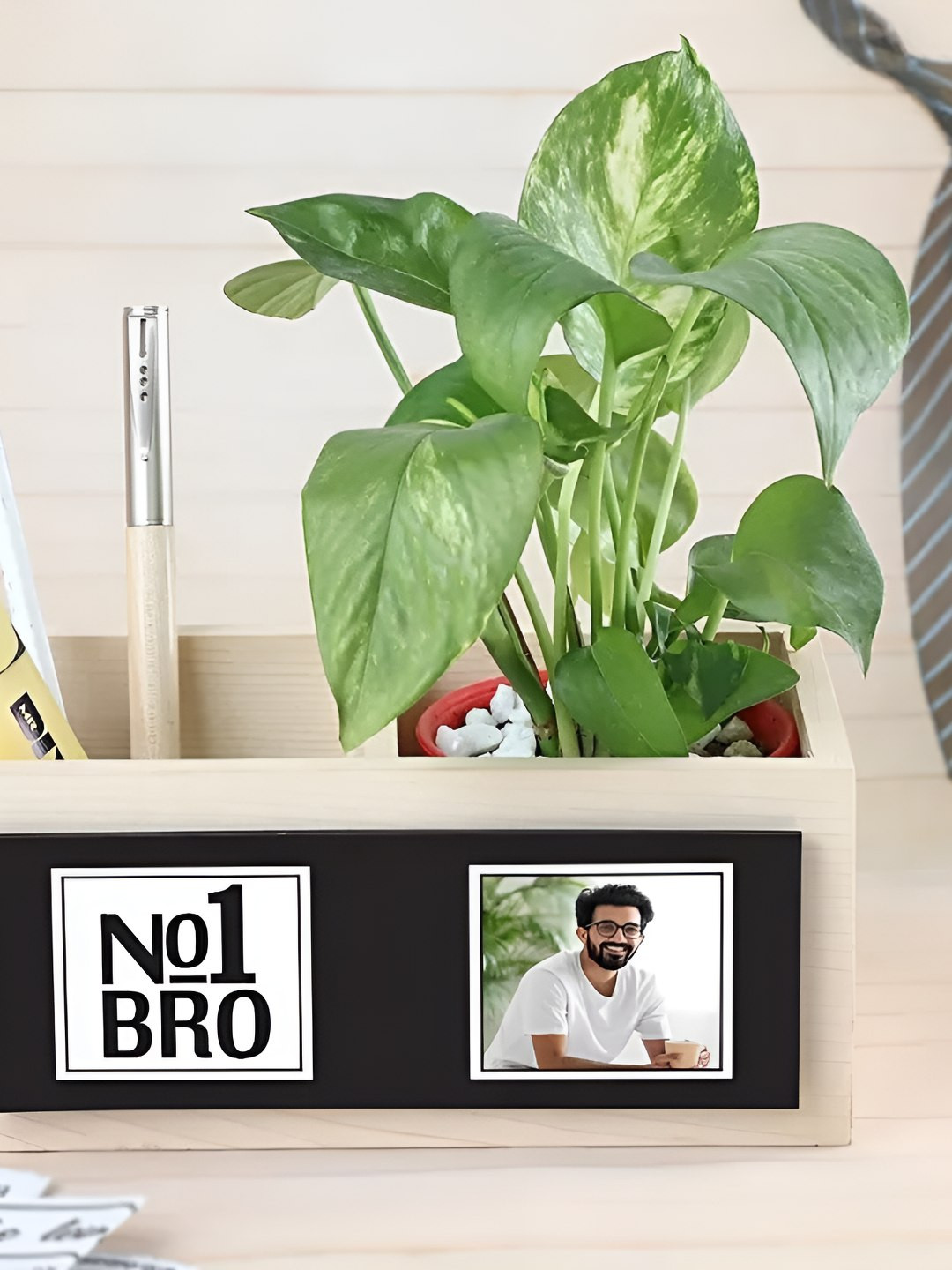 fnp Indoor Money Plant With Splendor & Personalized Prosperity Organizer For Bro