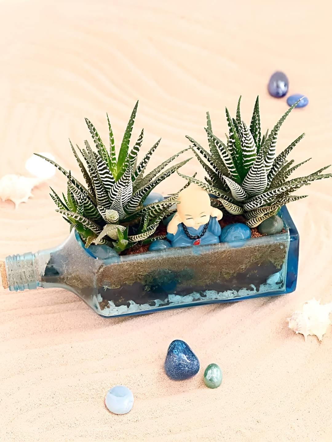 fnp 2-Pcs Indoor Haworthia Plants With Antiquity Bottle Terrarium - 4 Inch