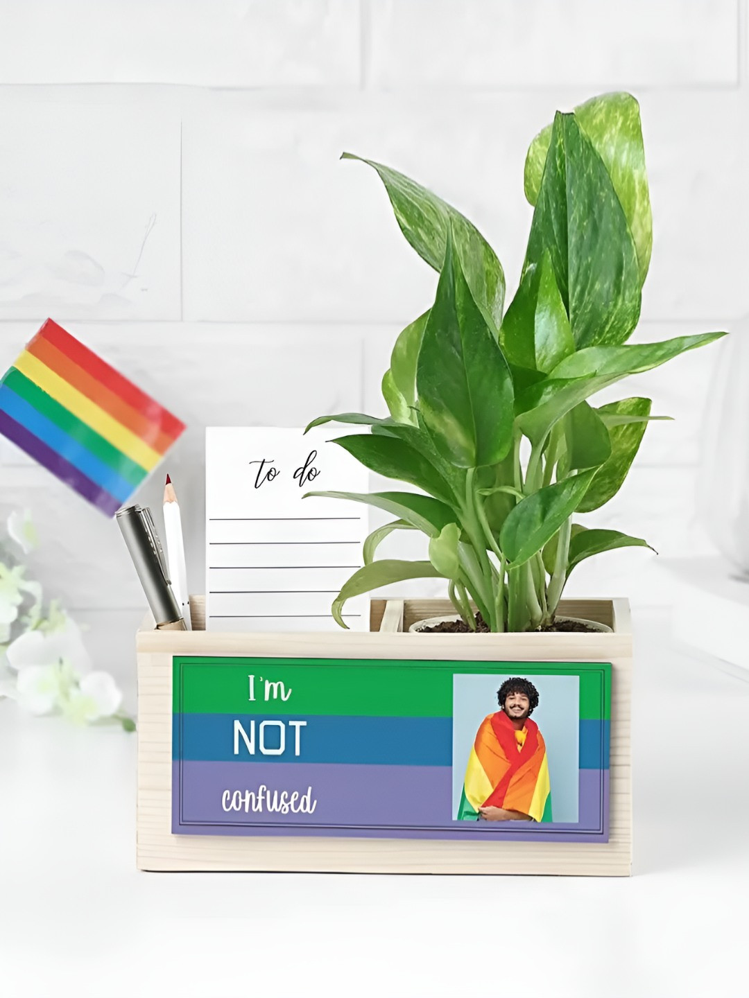 fnp 2-Pcs Indoor Money Plant With  Personalized Pride Love Set