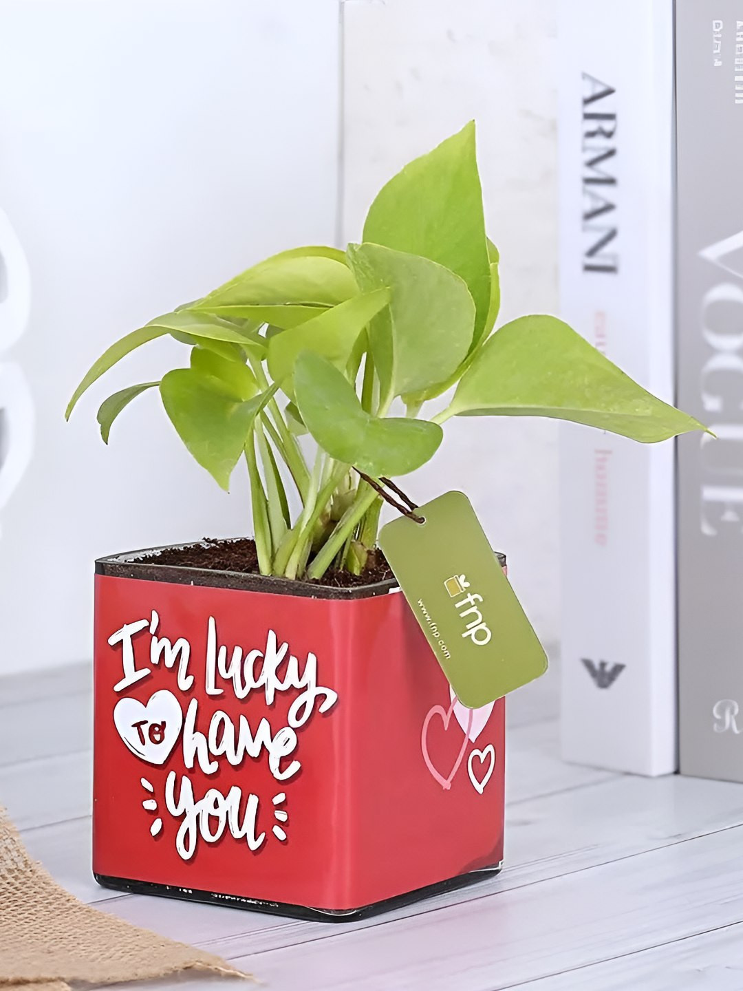 fnp Money Plant With Lucky To Have You Glass Pot