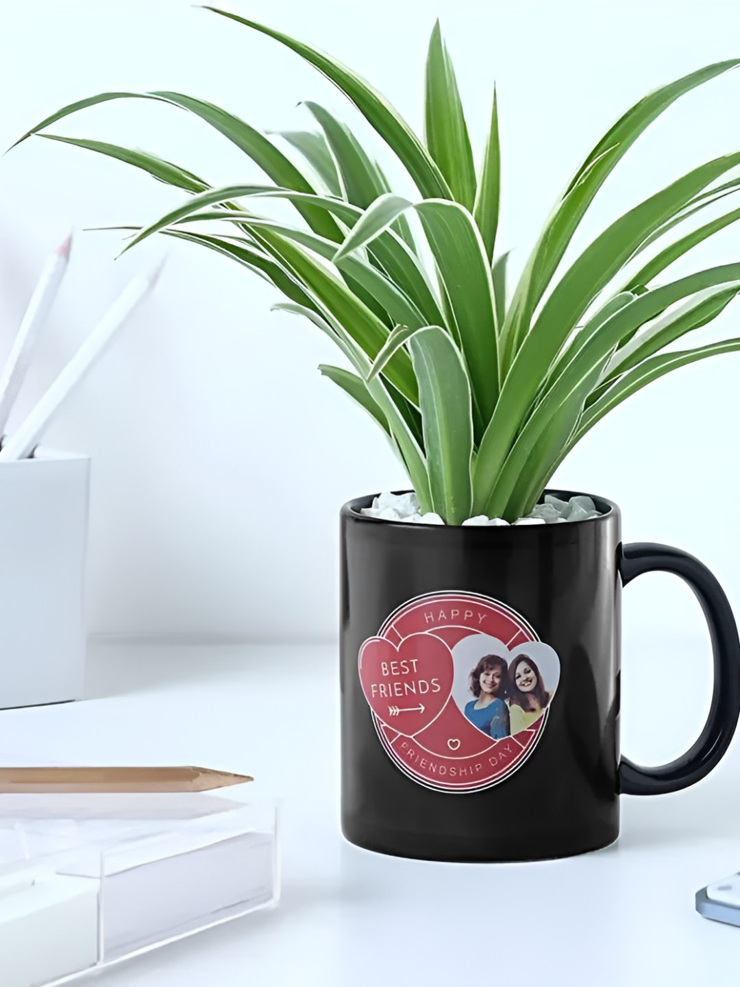 fnp Indoor Spider Plant With Pot- 4 inches