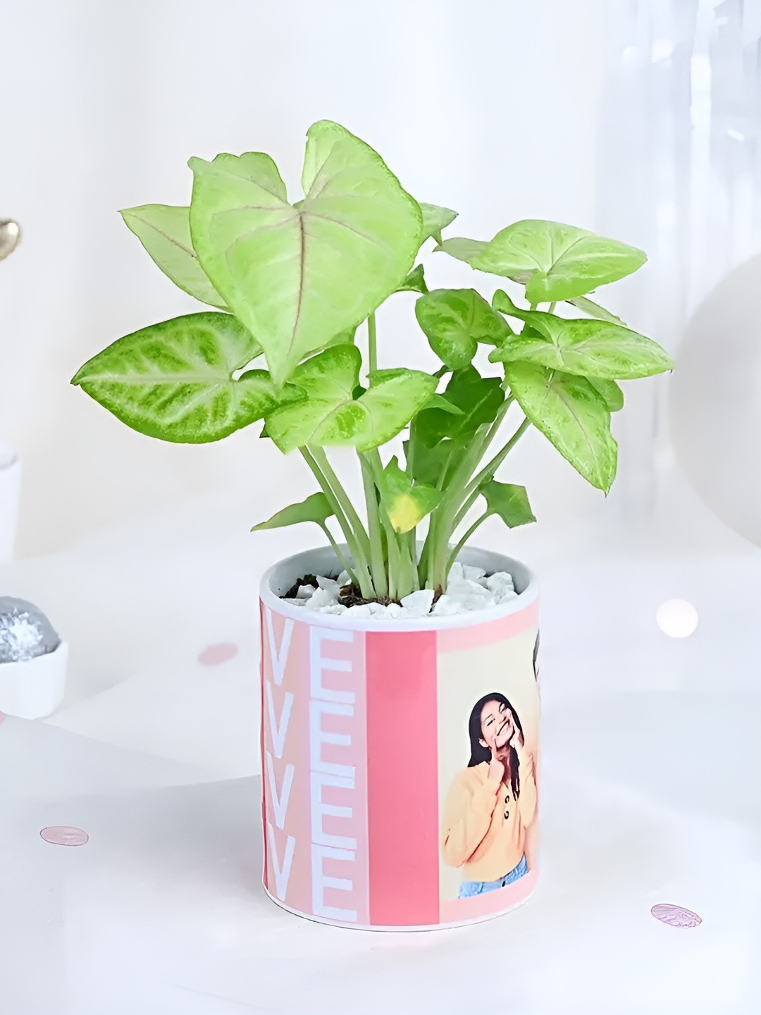 fnp Indoor Syngonium Plant With Love-Leaf Surprise Set - 5 Inch