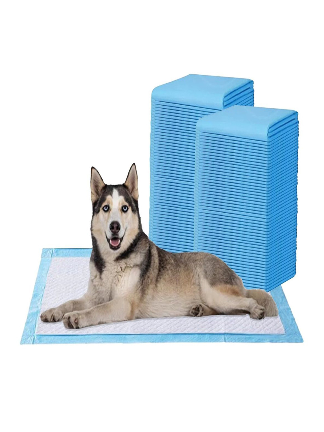AMORITE Set Of 100 Pet Training Pads