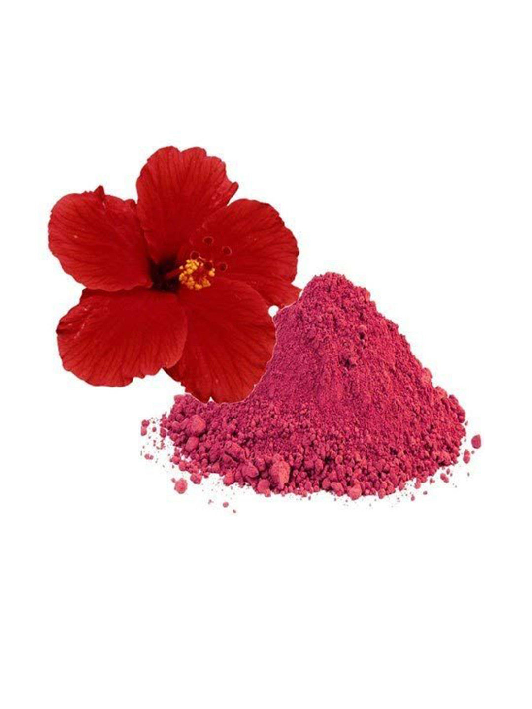 FORESTREE Pure & Natural Hibiscus Flower Powder For Hair & Skin - 100 g