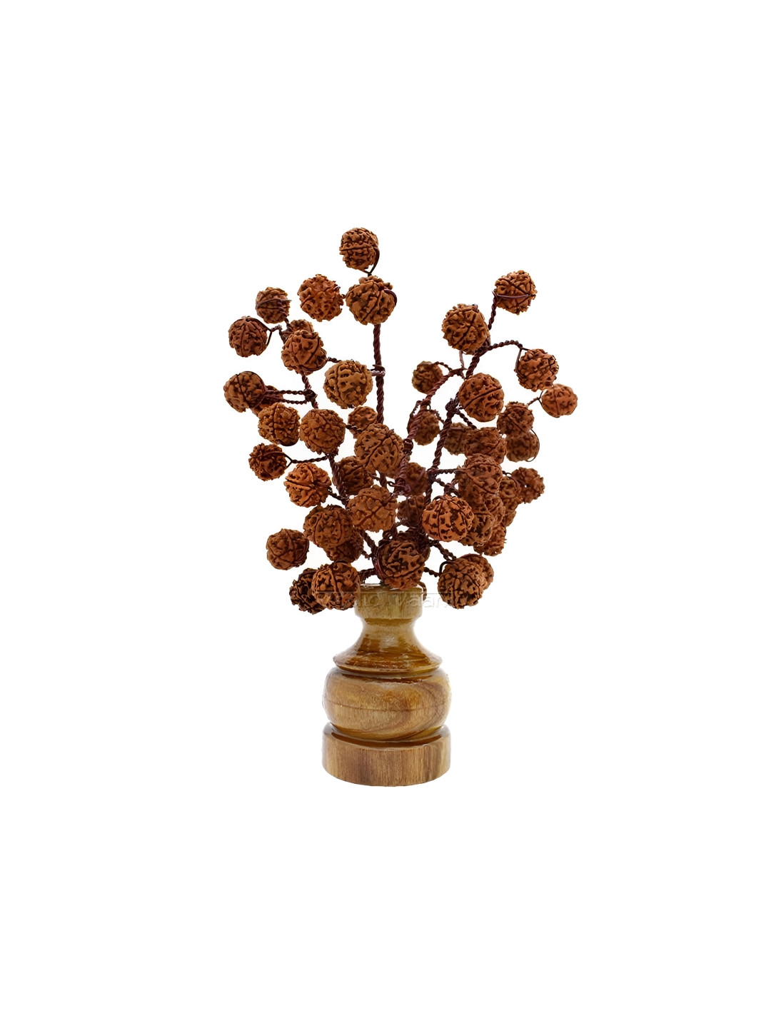 SANKALAN CREATIONS Rudraksha Tree Brown Wood Natural Study Room Medium Showpiece - 9.5 Inches