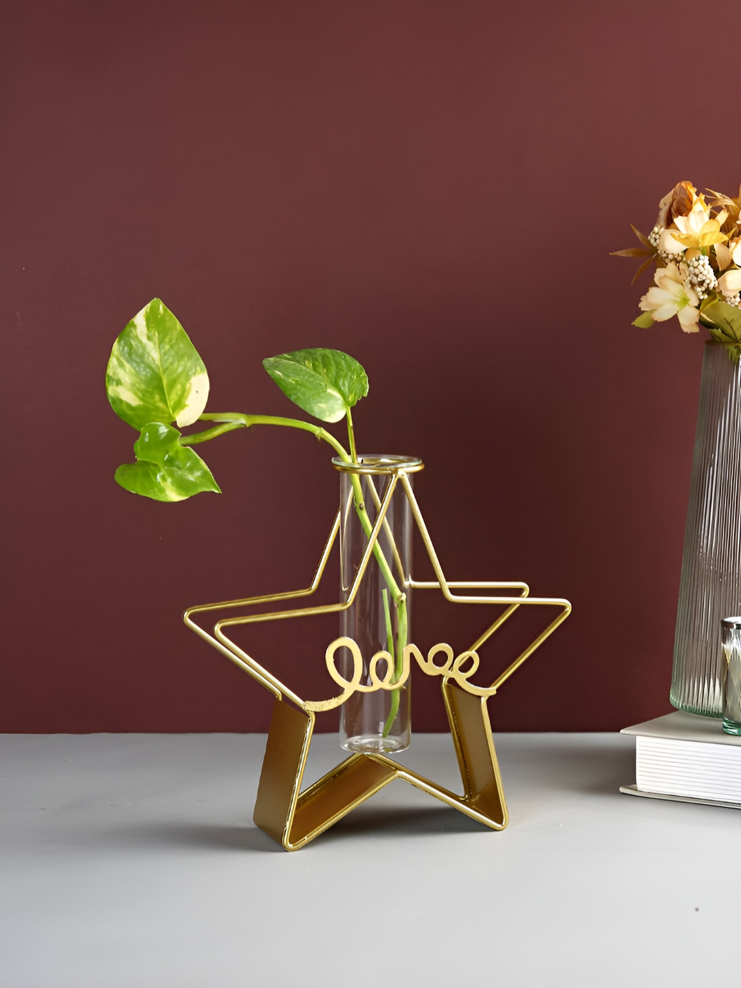 TAYHAA Transparent Metal & Glass Star Shaped Flower Vase