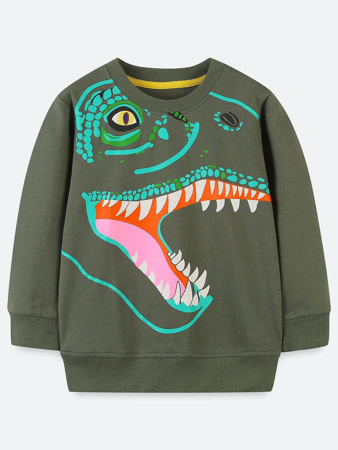 Oh Rare Boy Dinosaur Printed Long Round Neck Sleeves Sweatshirt