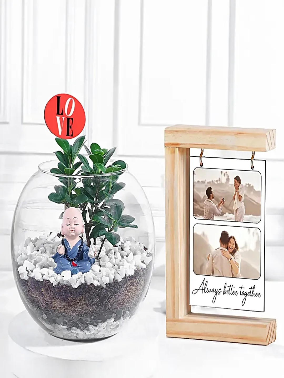 fnp Indoor Ficus Compacta Plant With Personalized Green Harmony Gift - 5 Inch