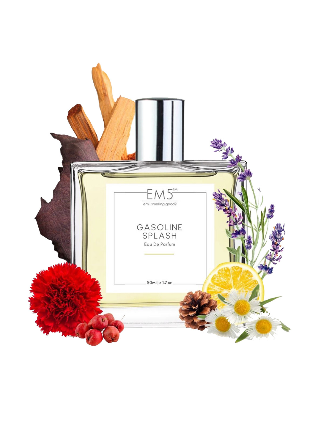 EM5 Gasoline Splash Long Lasting Eau De Parfum - 50 ml