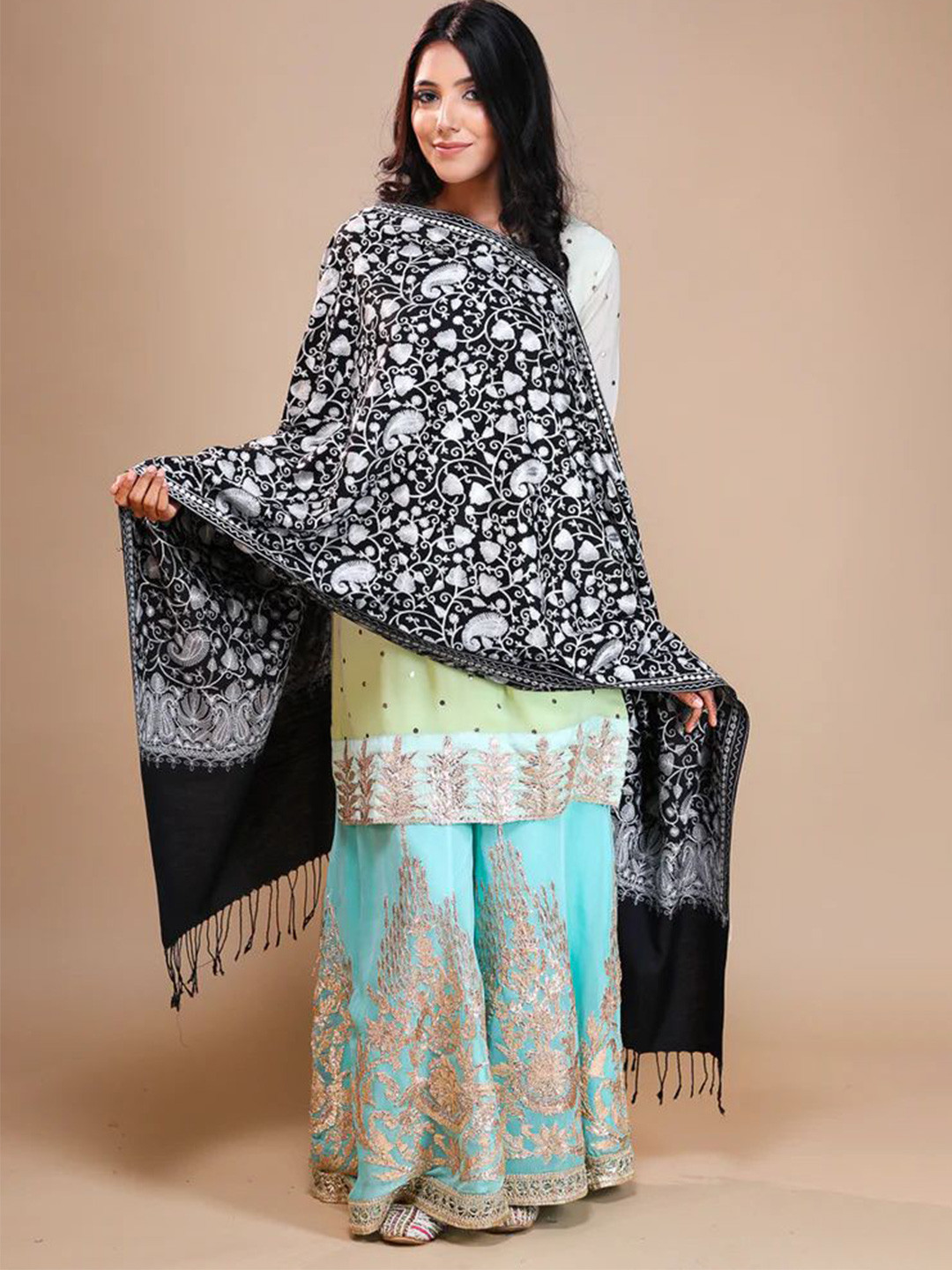 THE SHAWL STUDIO Women Embroidered Stole