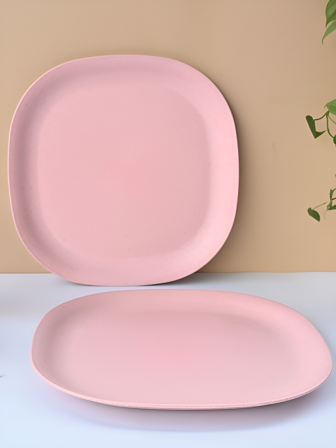 eha Pink 4 Pieces Matte Dishwasher Safe Plates
