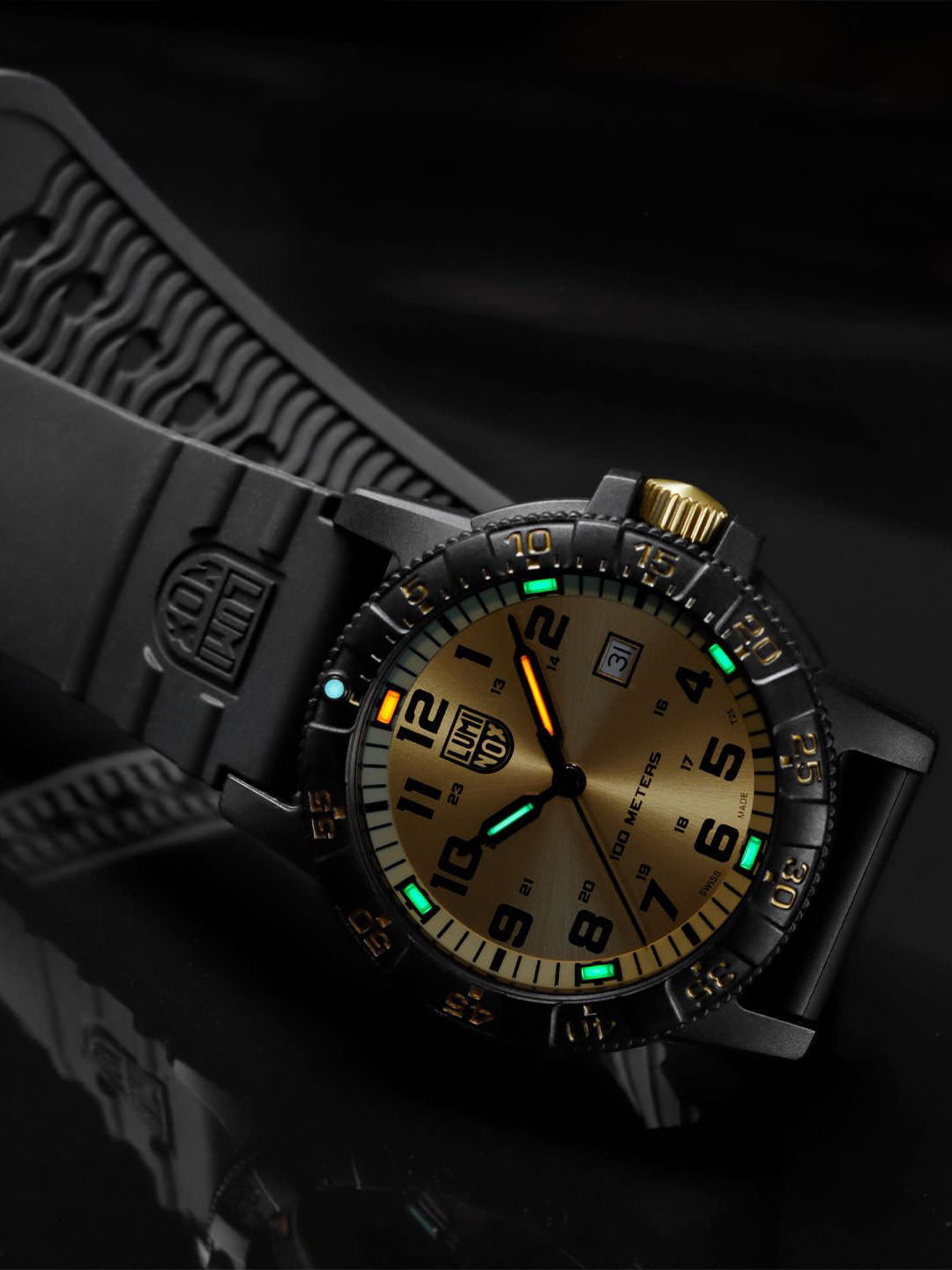 Luminox Men Dial & Bracelet Style Straps Analogue Multi Function Watch XS.0325.GP