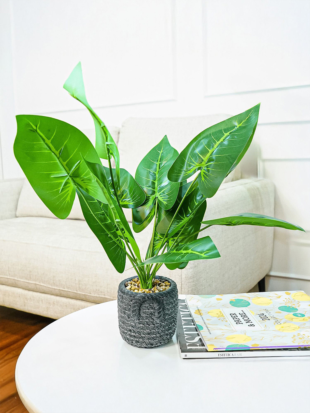 Nostrae by Ekhasa Green Dumb Cane Artificial Plant With Cement Vase Pot