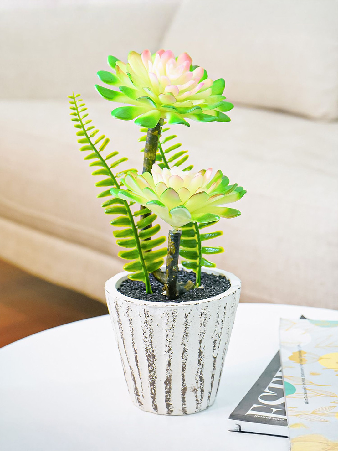 Nostrae by Ekhasa Cactus Artificial Plants for Home Decor with Paper Mache Pot