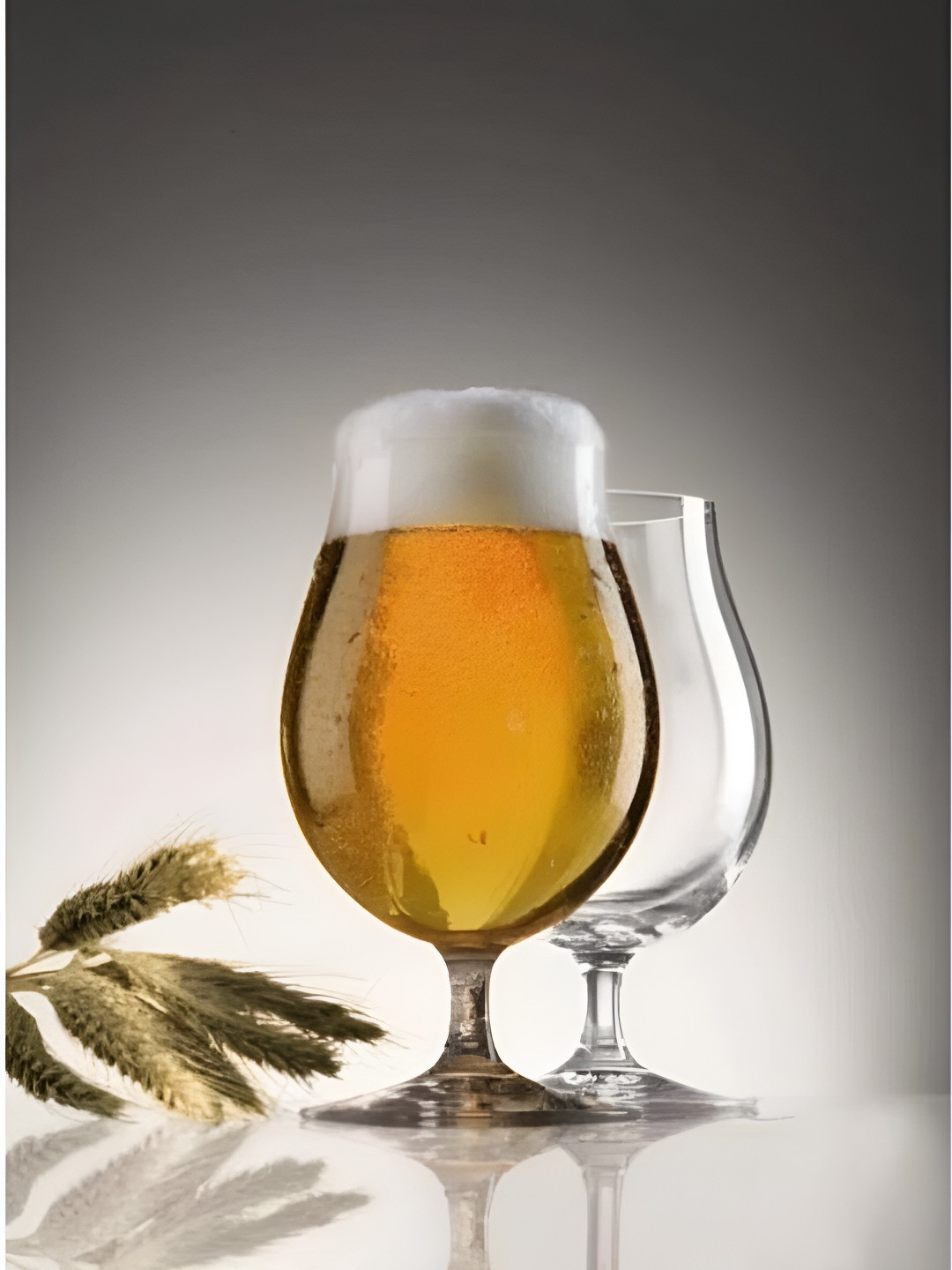 Nachtmann Beer Classics Stemmed Pilsner Glasses Set Of 2