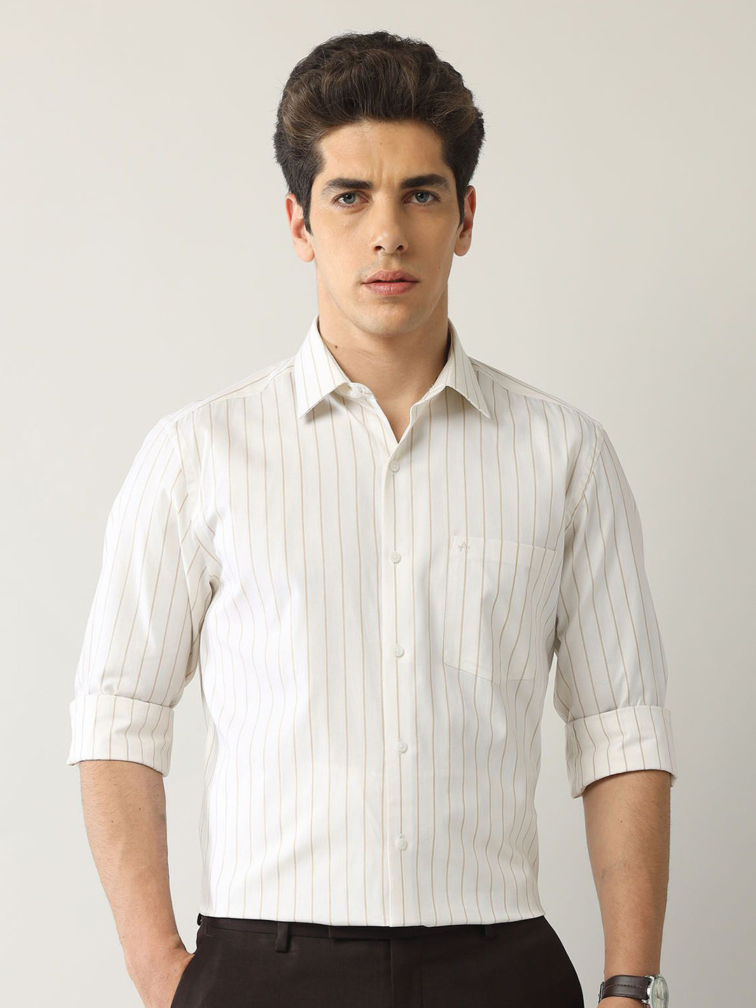 Arrow Men Classic Opaque Striped Formal Shirt