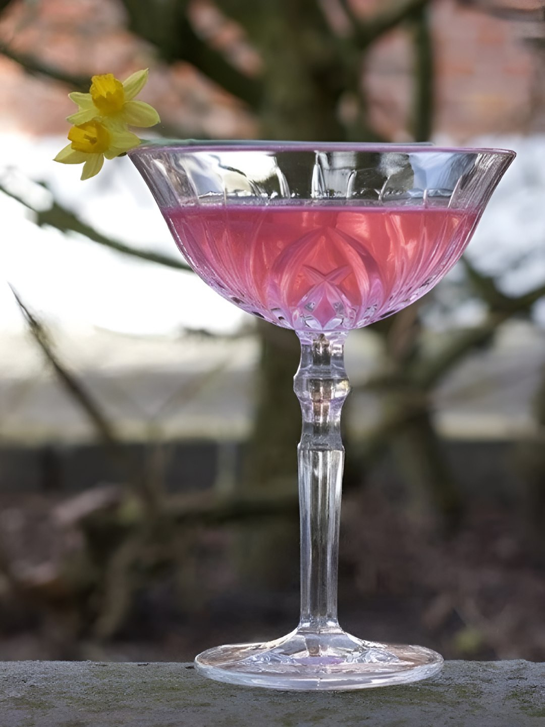 Nachtmann Palais Cocktail Glasses 200Ml Set Of 4