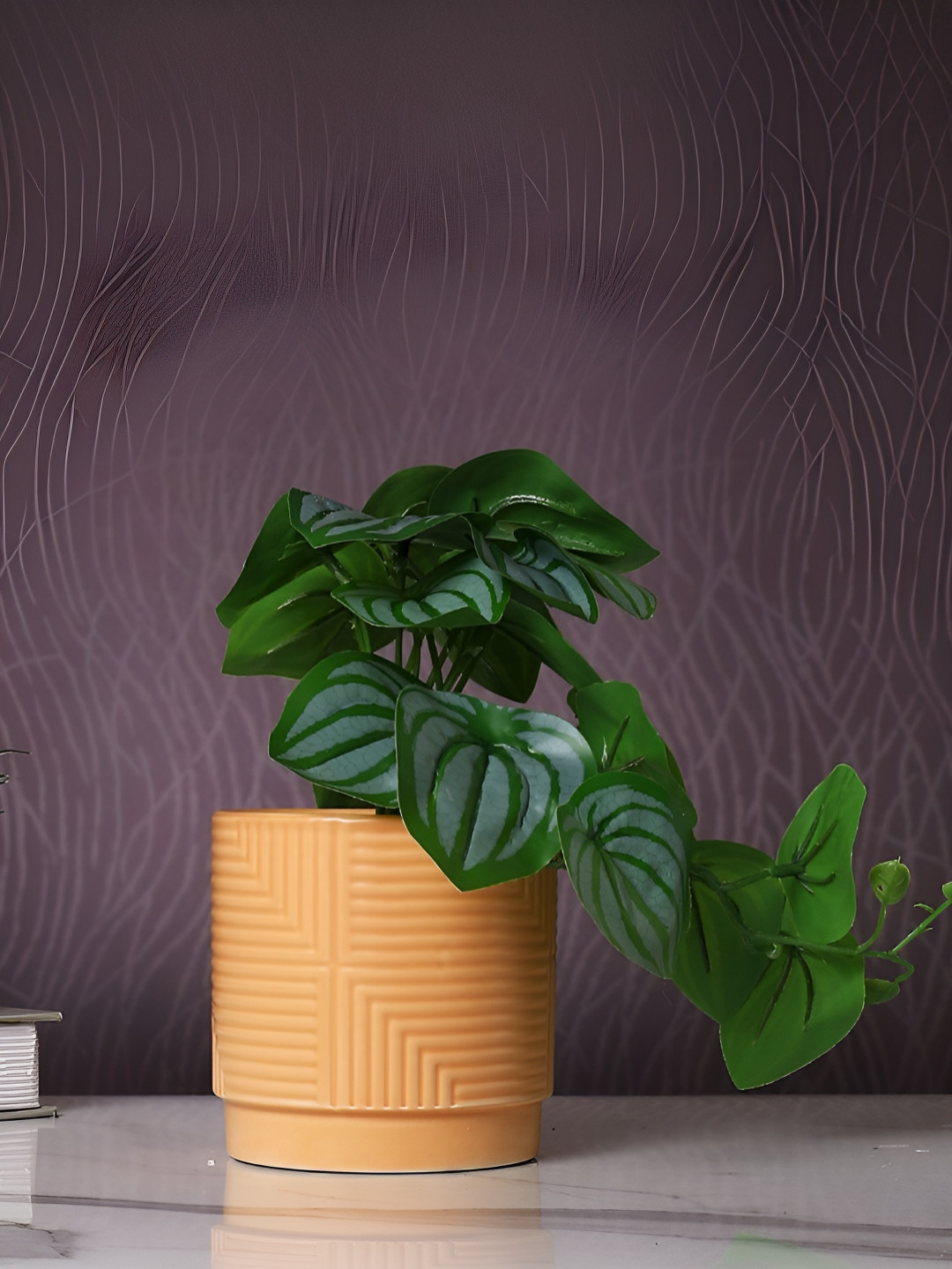 TAYHAA Brown 1 Pieces Peperomia Artificial Plant With Pot
