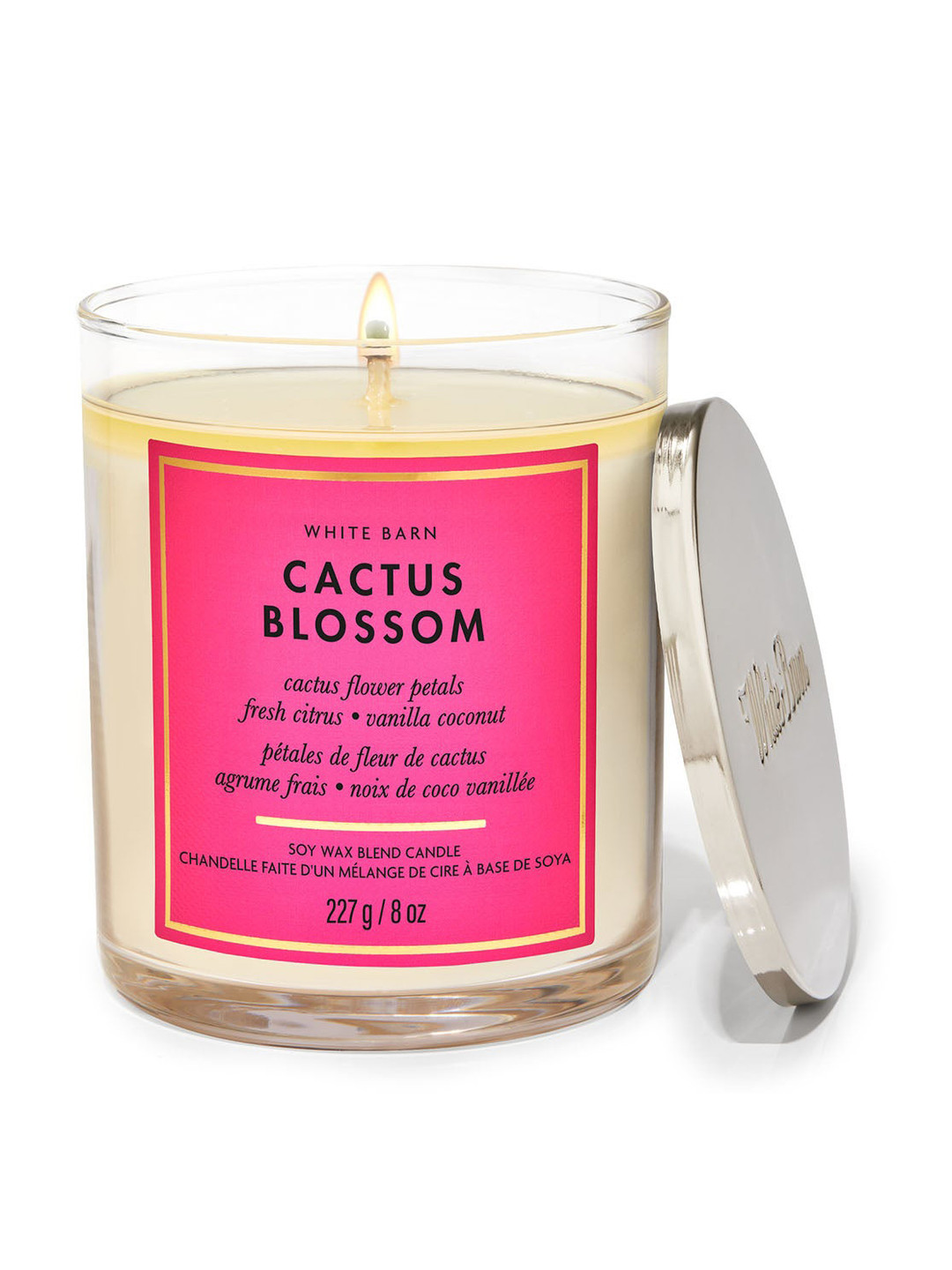 Bath & Body Works Cactus Blossom Scented 1 Wick Solid Geometric Regular Jar Candles