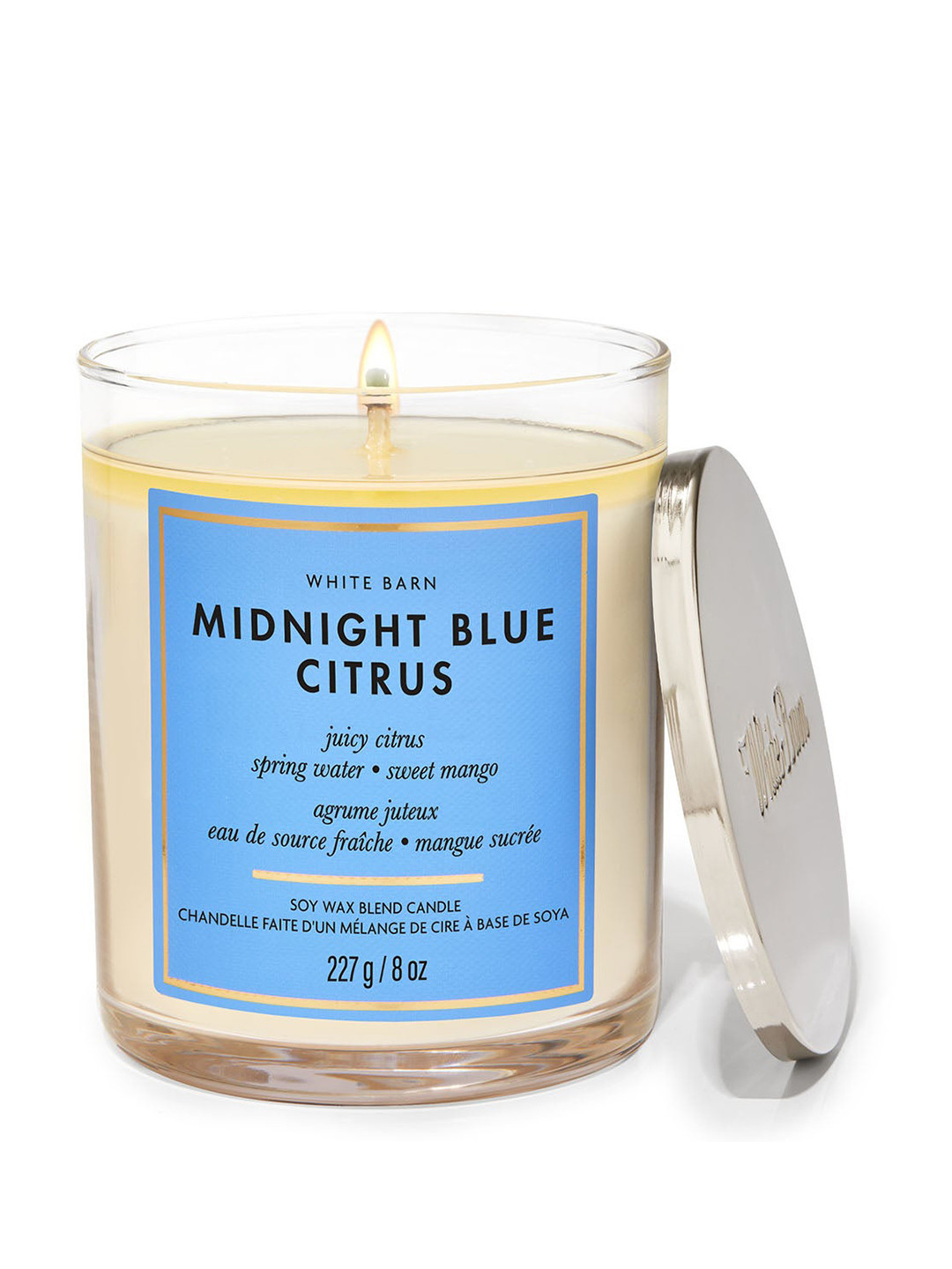 Bath & Body Works Citrus Scented 1 Wick Blue Citrus Solid Geometric Regular Jar Candles