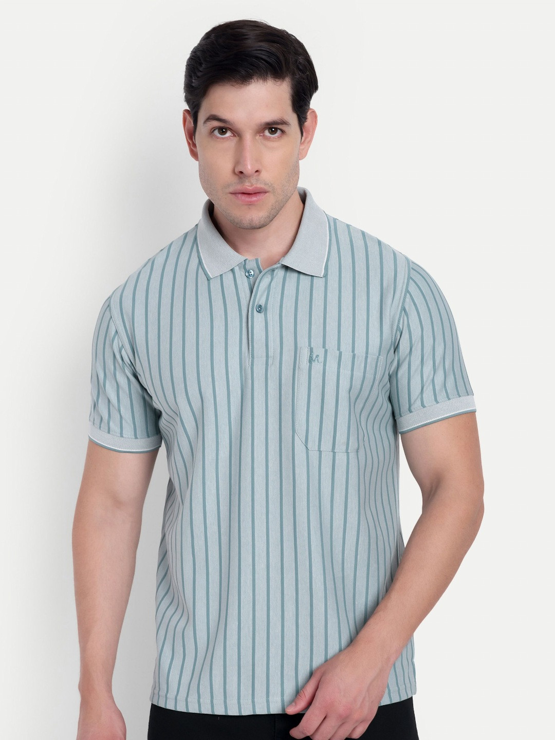 Men Half Sleeves Cotton Striped T-Shirt